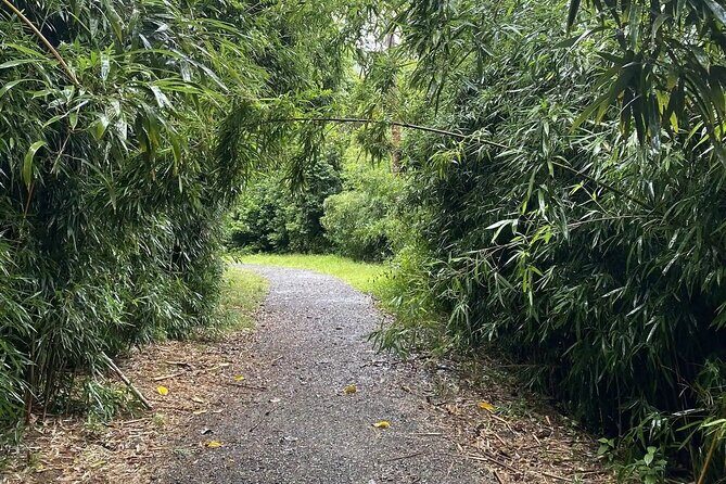 Hike to Connect with Nature and a Power of a Huge Waterfall - The Value of this Experience