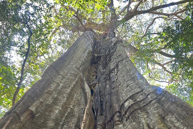 Hike to Rincon de Vieja National Park and La Leona Waterfall - FAQs