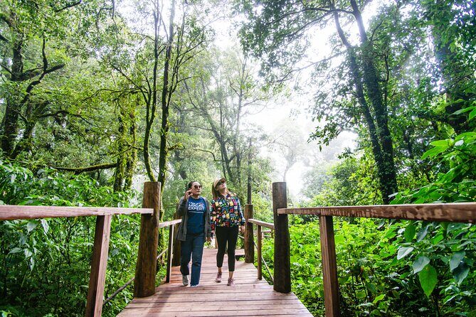 Hike to the Highest Spot + Waterfall in Chiang Mai - Final Thoughts