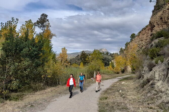 Hike to the Roman aqueduct Peña Cortada - Who Will Love This Tour?