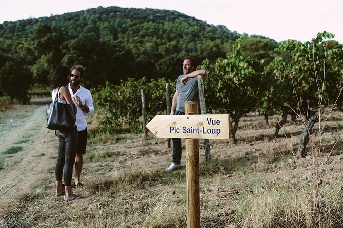 Hike to the top of "Pic Saint Loup", wine & food - Who Will Love This Tour?