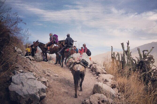 Hike - Trek Colca Canyon 2D/1N with Final in Puno - Key Points
