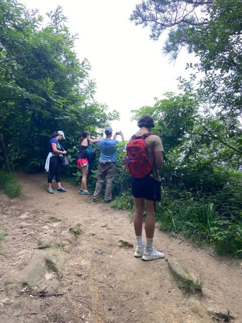 Hike Ulia | San Sebastian: El Camino de Santiago (The Way) - A Detailed Look at the Experience