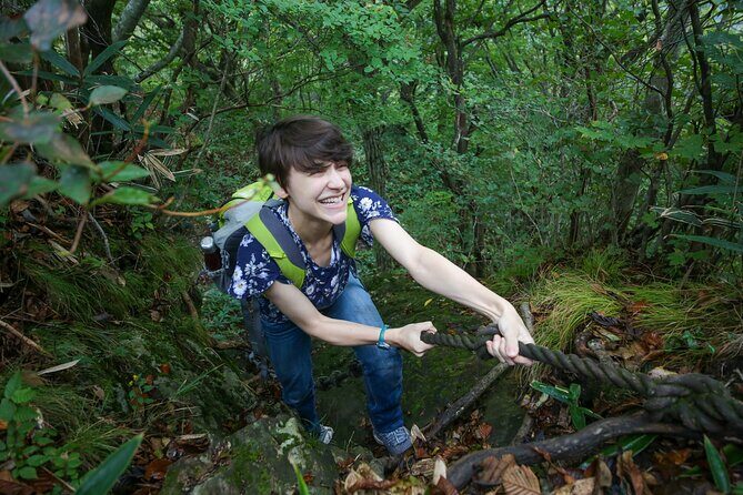 Hike up Mt. Omine and enjoy the view of Miyajima - Hike up Mt. Omine and enjoy the view of Miyajima