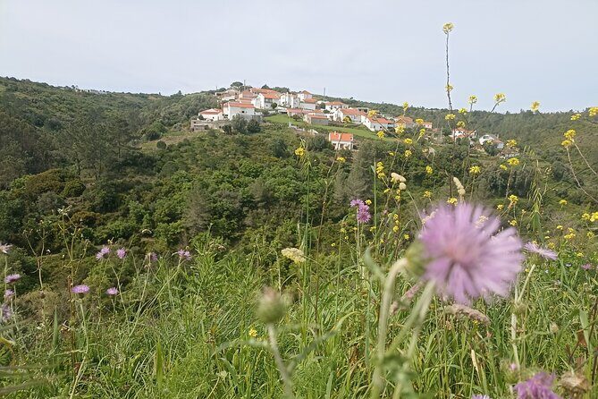 Hike & Wine Ericeira - Discovering Cheleiros’ Winemaking Heritage