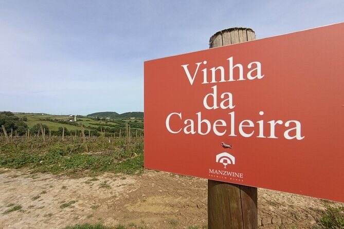 Hike & Wine Ericeira - Who Will Love This Tour?