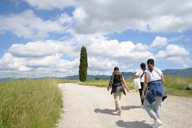 Hike & Wine Tour - A Walk Through Tuscany’s Heartland: The Hike & Wine Tour