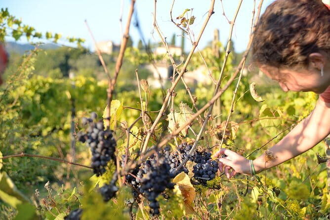 Hike & Wine Tour - Key Points