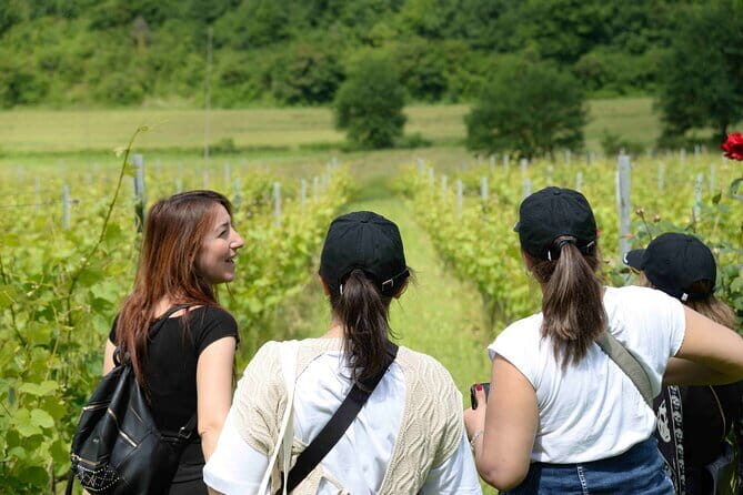 Hike & Wine Tour - The Sum Up