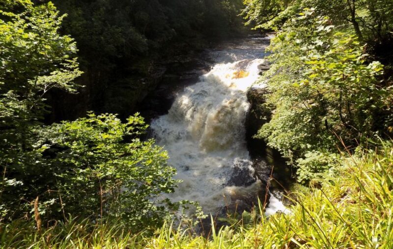 Hike World Heritage Reserve Waterfalls - A Deep Dive into the Waterfalls of the River Clyde Hike