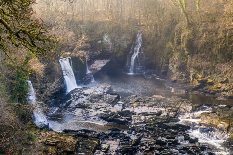 Hike World Heritage Reserve Waterfalls - The Sum Up: Why Choose the Waterfalls of the River Clyde Tour?