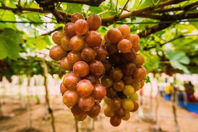 Hiking 8 Angel Beaches - Vinh Hy 2 Days 1 Night - FAQ