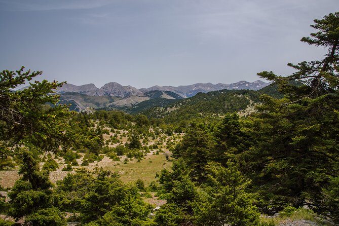 Hiking above Kalamata - Practical Information and Tips