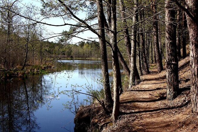 Hiking Adventure in Gauja National Park - 7 Days - A Deep Dive into the Gauja National Park Hiking Tour