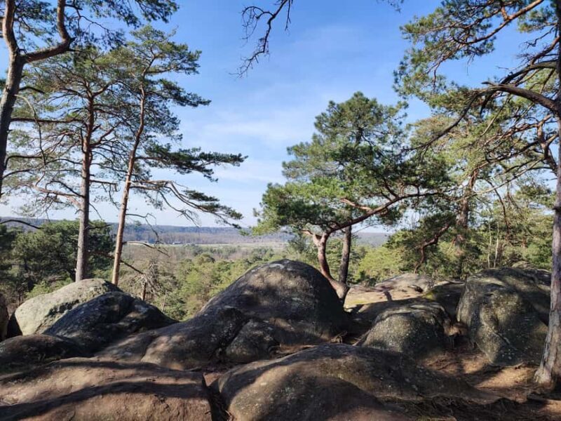 Hiking Adventure in the Fontainebleau Forest - Frequently Asked Questions