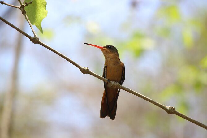 Hiking Adventure: River Trails & Waterfall Wonders - A Closer Look at the Waterfall Waterway Tour