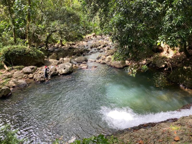 Hiking Adventure - Exploring the Grenadian Rainforest: A Hiker’s Dream