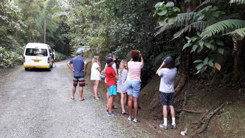 Hiking Adventure Through Grand E'tang RainForest - Key Points