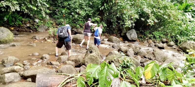 Hiking Adventure Through Grand E'tang RainForest - The Sum Up