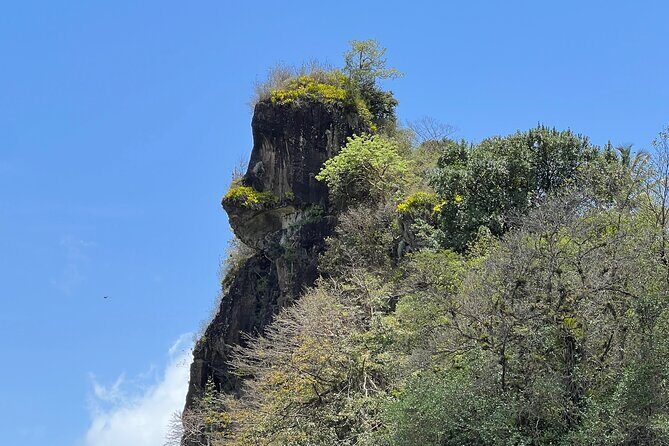 Hiking Adventure to Gorilla Rock St. Vincent & The Grenadines - Who Should Consider This Tour?