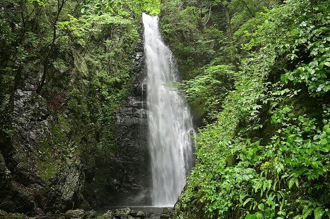 Hiking Adventure to Mt. Kawanori, into Tokyos Wilderness - A Closer Look at the Mt. Kawanori Hiking Experience