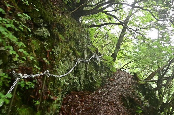 Hiking Adventure to Mt. Kawanori, into Tokyos Wilderness - Final Thoughts