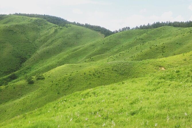 Hiking and a Temple Retreat in the Mountains of Hiroshima - Hiking and a Temple Retreat in the Mountains of Hiroshima