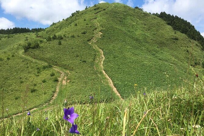 Hiking and a Temple Retreat in the Mountains of Hiroshima - Authentic Feedback and Insights