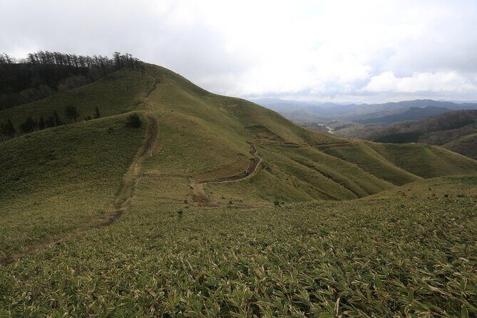 Hiking and a Temple Retreat in the Mountains of Hiroshima - The Sum Up
