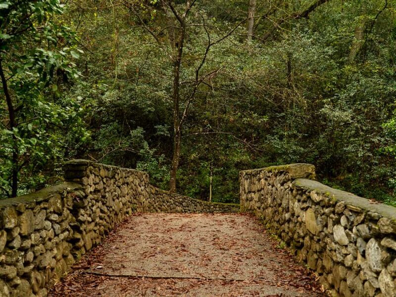 Hiking and a visit to a waterfall in the city: La Estanzuela - Key Points