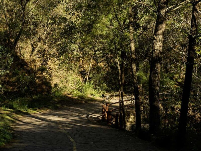 Hiking and a visit to a waterfall in the city: La Estanzuela - An In-Depth Look at the La Estanzuela Tour