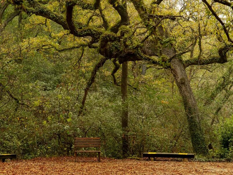 Hiking and a visit to a waterfall in the city: La Estanzuela - Final Thoughts