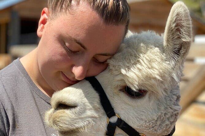 Hiking and Adventure from Napanee to Bon Echo Provincial Park - Final Thoughts: Why This Tour Stands Out