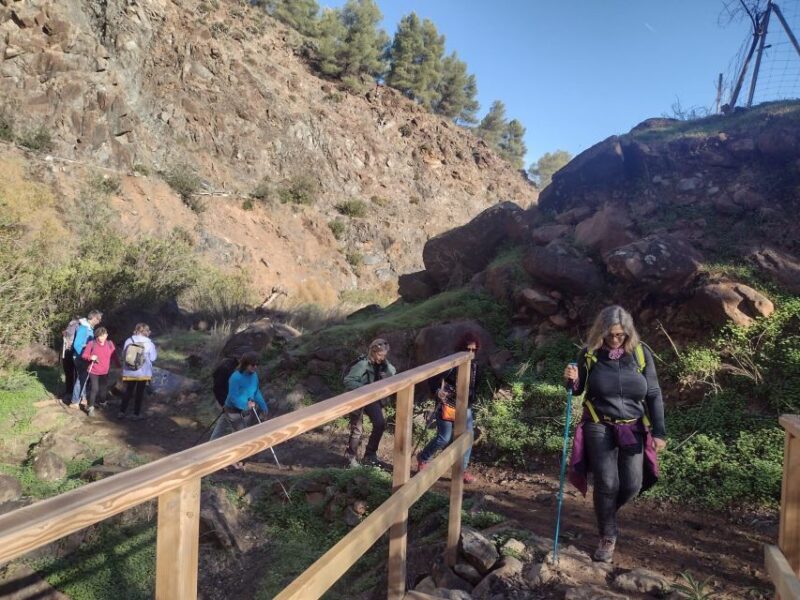 Hiking and bathing in natural pools in the National Park - Hiking and bathing in natural pools in the Sierra de las Nieves National Park