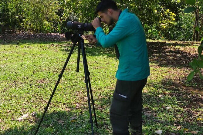 Hiking and birdwatching Nosara - A Closer Look at Hiking and Birdwatching in Nosara