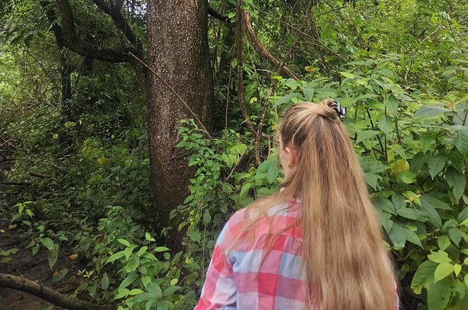 Hiking and birdwatching Nosara - In-Depth Review: Why You Should Consider This Tour