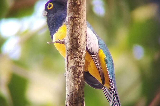 Hiking and birdwatching Nosara - Final Thoughts