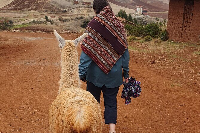 Hiking and Textile Workshop (Cuzco): ANDEAN COLORS - Exploring the Tour in Detail