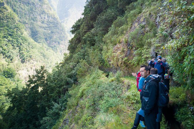Hiking and Trekking tours in Madeira - Exploring Madeira’s Natural Wonders on Foot