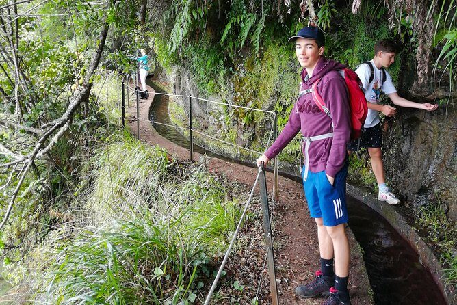 Hiking and Trekking tours in Madeira - The Landscape and Scenic Highlights