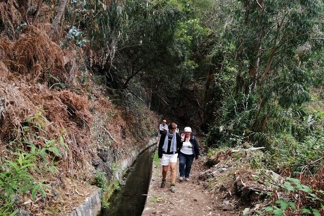 Hiking and Trekking tours in Madeira - Price and Value