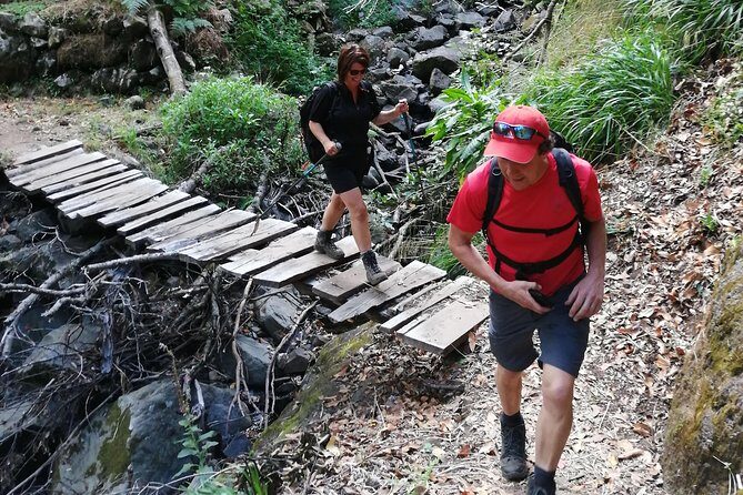 Hiking and Trekking tours in Madeira - Who Would Enjoy This Tour?