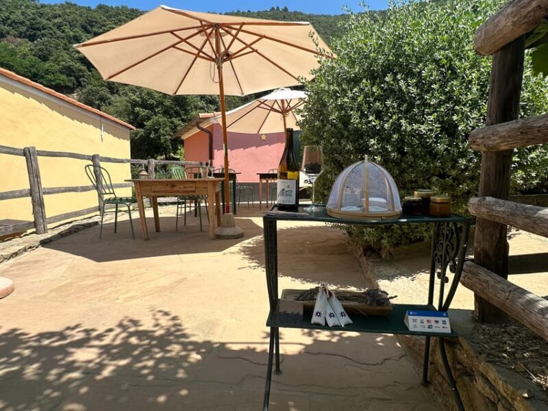 Hiking and wine tasting experience - Hiking and wine tasting experience in Cinque Terre