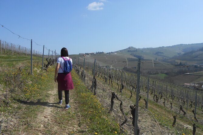 Hiking and wine tour starting from Alba - Hiking and Wine Tour Starting from Alba: An Authentic Taste of Piedmont