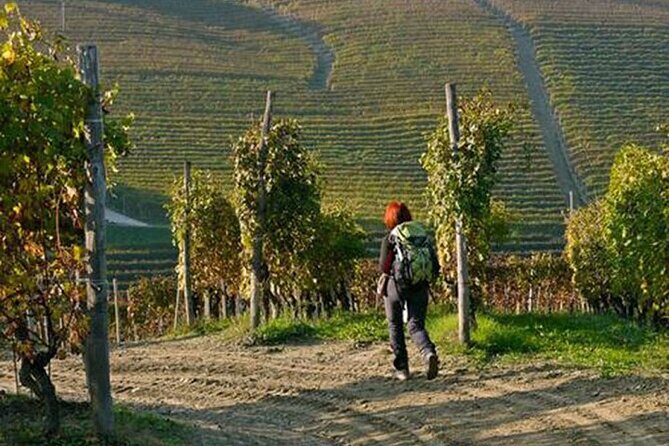 Hiking and wine tour starting from Alba - Final Thoughts