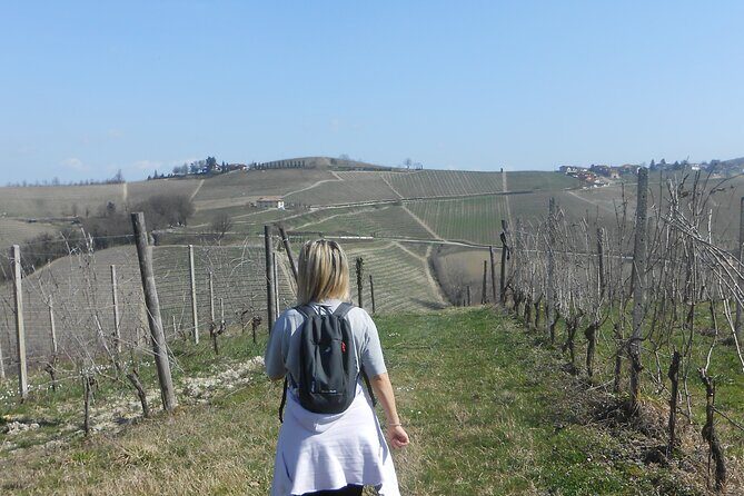 Hiking and wine tour starting from Alba - FAQs