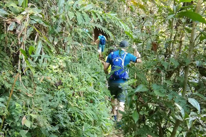 Hiking and Zipline Private Tour from Chiang with Karen Village - The Sum Up