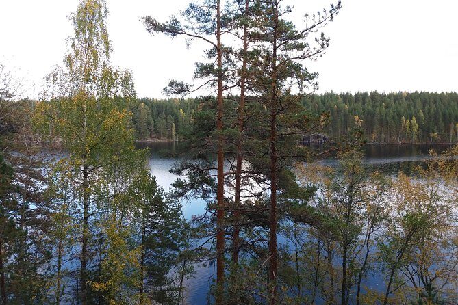 Hiking around forest and lake - Exploring the Finnish wilderness: A detailed look at the experience