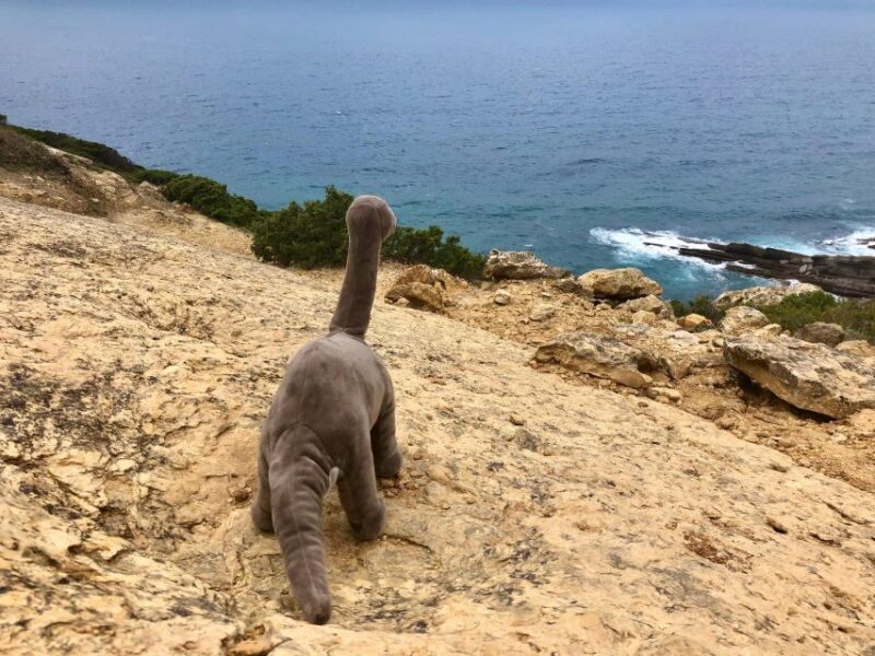 HIKING around Lisbon: Jurassic Dinosaur Trails of Espichel - Final Thoughts