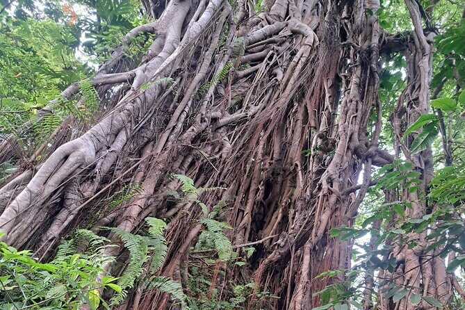 Hiking around Mount Yasur and Tanna Island - Who Will Benefit Most?